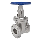 Cast Steel Globe Valve
