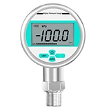 Digital Pressure Gauge