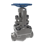Forged Steel Gate Valve