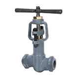 T-Pattern Globe Valve