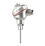 Temperature Switches