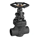 Welded Globe Valve