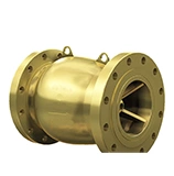 Axial Flow Check Valve