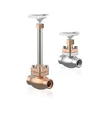 Cryogenic Globe Valve