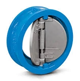 Dual Plate Check Valve