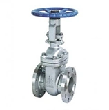 Flexible Wedge Gate Valve