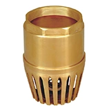 Foot Valve