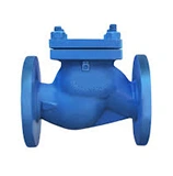 Lift Check Valve