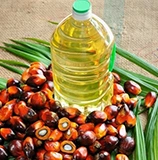palm oil