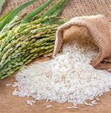 rice