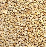 sesame seed