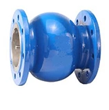 Silent Check Valve