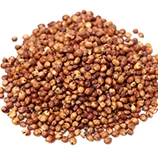 sorghum